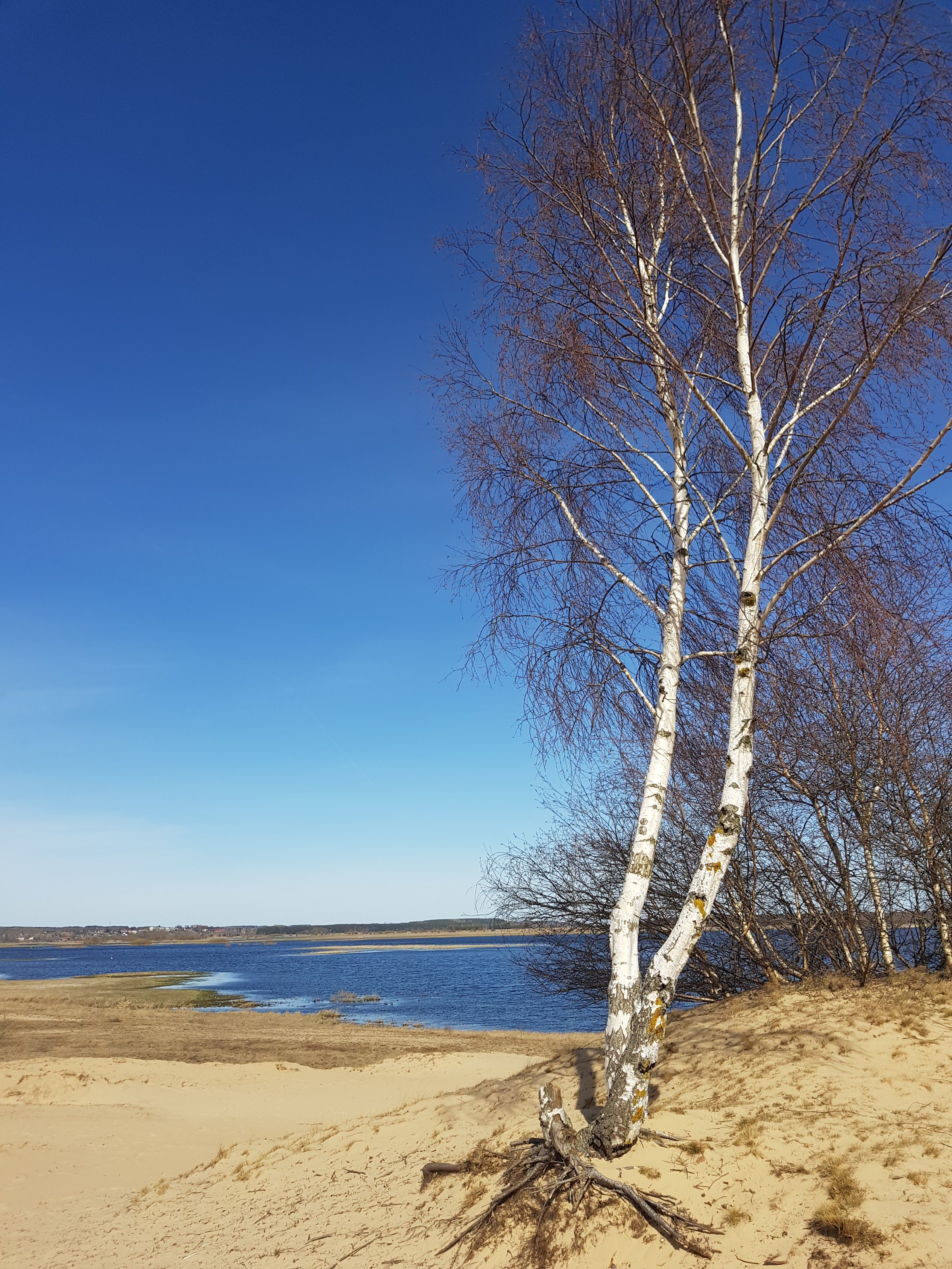 Osada wydmowa (Grądy Woniecko)